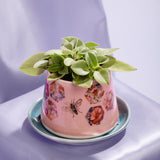 handmade porcelain hive planter